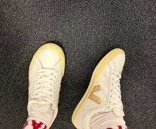 Veja Trainers