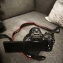 canon 250d Image 4