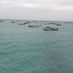 ventura.celia