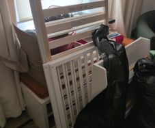 Cot Free Collection Today