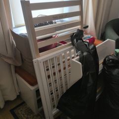 Cot Free Collection Today