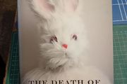 'The Death of Bunny Munro', Nick Cave