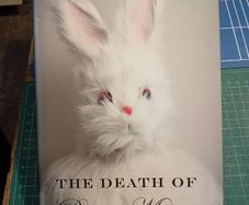 'The Death of Bunny Munro', Nick Cave