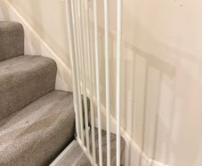dog gate