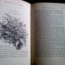 The Fairy-Land of Science by Arabella B. Buckley 1879 Image 8