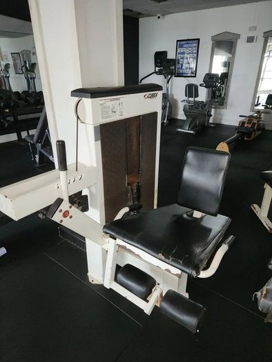 gym equipment