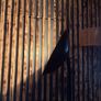 Floor lamp Image 2
