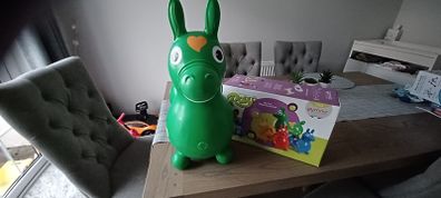 Rody horse