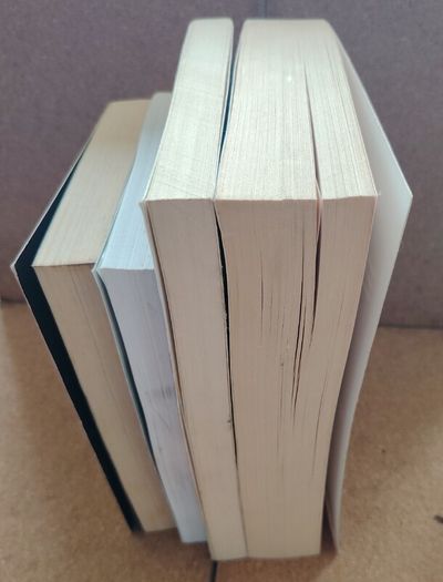 Bestselling Fiction Thriller, Western & Biography Book Bundle (4 Books)
