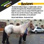 ErgoPro Hush (Mains) Horse clipper Image 2