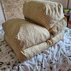 Fold Up Mattress x 2