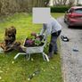 wheelbarrow planter Image 2