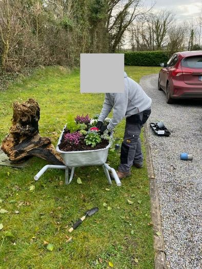 wheelbarrow planter