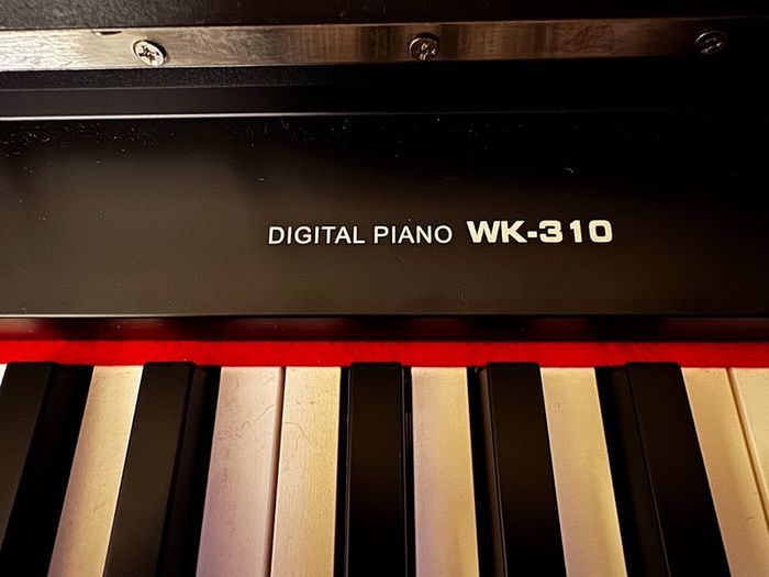 Digital Piano
