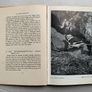 Rare irish book, An Irish Sanctuary, Birds of the North Bull, Dollymount, Howth, Sutton Image 7