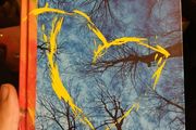 Gary Lightbody - The Forest is the Path