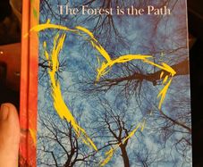 Gary Lightbody - The Forest is the Path
