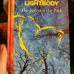 Gary Lightbody - The Forest is the Path