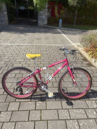 Raleigh Pop 24 Kids Bike
