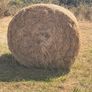 25 round bale of hay Image 3