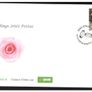 Collection 2011 Ireland Commemorative Stamps An Post First Day Cover (FDC). Collection of 17 covers. Image 2