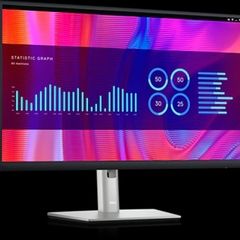 Dell 24" Monitor