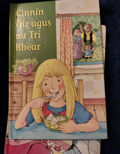 Irish book (Pr 204 )