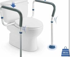 toilet safety rail
