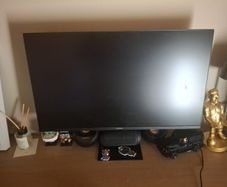 monitor