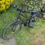 Ladies Bike Image 6