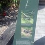 Petrol Strimmer (new) Image 3