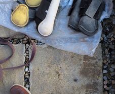 equine boots