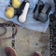 equine boots