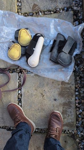 equine boots