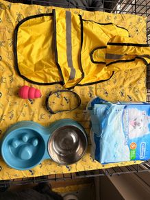 Puppy set accessories