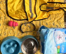 Puppy set accessories