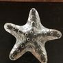 Glass Starfish Image 3