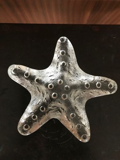 Glass Starfish