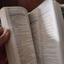 chambers school dictionary Image 5