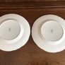 A Pair of 9 inch Crown Staffordshire Bone china floral plates Image 7