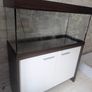 Aquarium Image 4