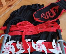 ninja halloween costume