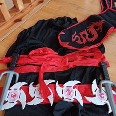 ninja halloween costume