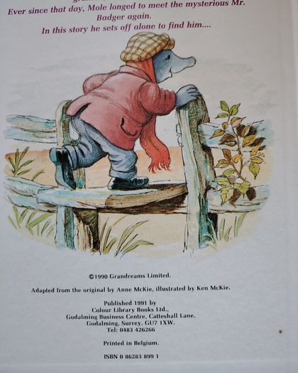 The Wind in the Willows  3 Book Vintage Set 1990  Perfect Condition