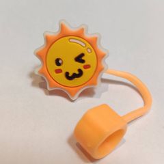 Various Sunshine Stanley Straw Cap Cover Designs