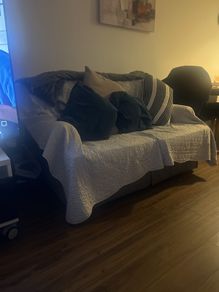 2 seater couch for free (throw included!) collection only