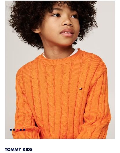 Tommy Hilfiger Orange Kids jumper