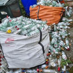 Approx 500 empty Bacardi bottles suitable for project