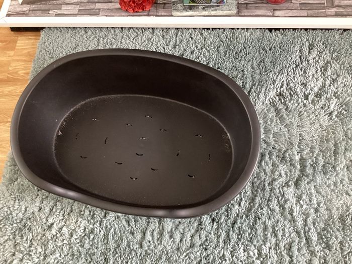 dog bed