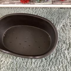 dog bed